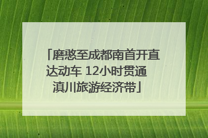 磨憨至成都南首开直达动车 12小时贯通滇川旅游经济带