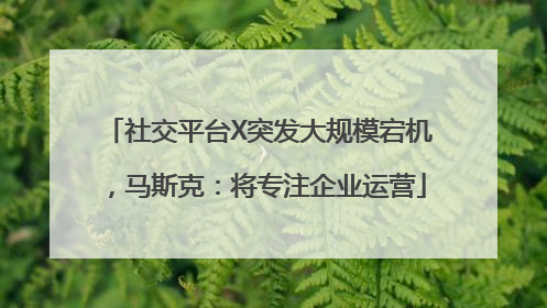 社交平台X突发大规模宕机，马斯克：将专注企业运营