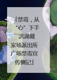 禁毒，从“心”下手――洪湖戴家场派出所广场禁毒宣传侧记