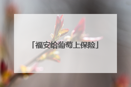 福安给葡萄上保险
