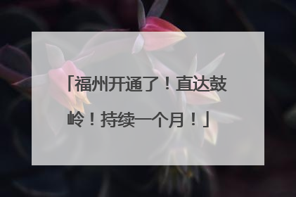 福州开通了！直达鼓岭！持续一个月！