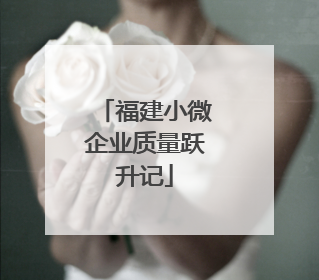福建小微企业质量跃升记