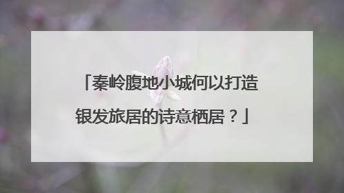 秦岭腹地小城何以打造银发旅居的诗意栖居？