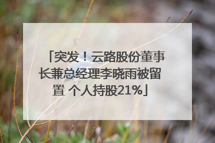 突发！云路股份董事长兼总经理李晓雨被留置 个人持股21%