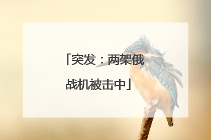 突发：两架俄战机被击中