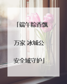 端午粽香飘万家 冰城公安全域守护