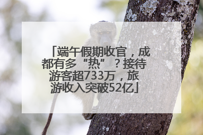 端午假期收官，成都有多“热”？接待游客超733万，旅游收入突破52亿