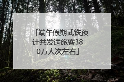 端午假期武铁预计共发送旅客380万人次左右