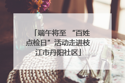 端午将至 “百姓点检日”活动走进枝江市丹阳社区