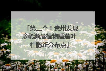 第三个！贵州发现珍稀濒危植物睡莲叶杜鹃新分布点