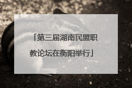 第三届湖南民盟职教论坛在衡阳举行