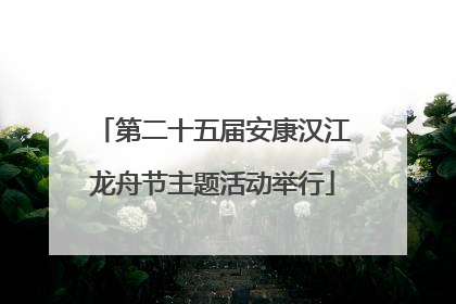 第二十五届安康汉江龙舟节主题活动举行