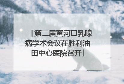 第二届黄河口乳腺病学术会议在胜利油田中心医院召开