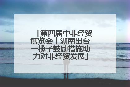 第四届中非经贸博览会丨湖南出台一揽子鼓励措施助力对非经贸发展
