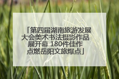 第四届湖南旅游发展大会美术书法摄影作品展开幕 180件佳作点燃岳阳文旅爆点