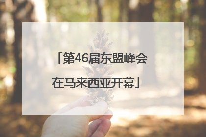 第46届东盟峰会在马来西亚开幕