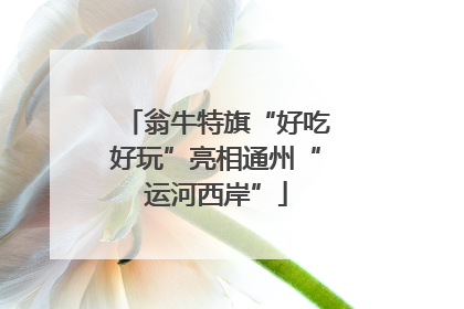 翁牛特旗“好吃好玩”亮相通州“运河西岸”