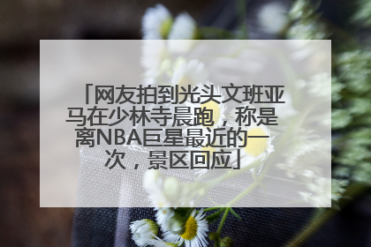 网友拍到光头文班亚马在少林寺晨跑，称是离NBA巨星最近的一次，景区回应