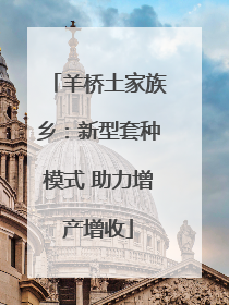 羊桥土家族乡：新型套种模式 助力增产增收