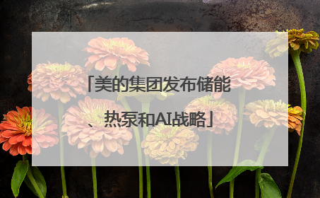 美的集团发布储能、热泵和AI战略