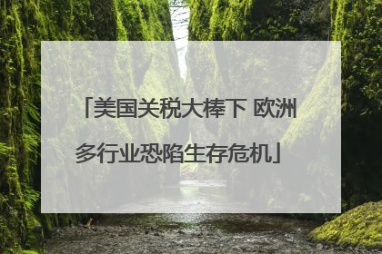 美国关税大棒下 欧洲多行业恐陷生存危机