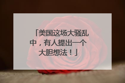 美国这场大骚乱中，有人提出一个大胆想法！