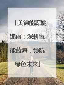 美锦能源姚锦丽：深耕氢能蓝海，领航绿色未来