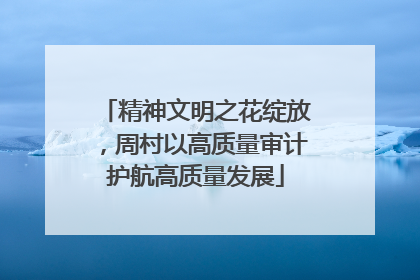 精神文明之花绽放，周村以高质量审计护航高质量发展