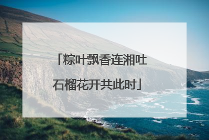 粽叶飘香连湘吐 石榴花开共此时