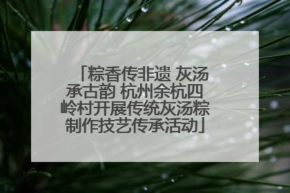 粽香传非遗 灰汤承古韵 杭州余杭四岭村开展传统灰汤粽制作技艺传承活动