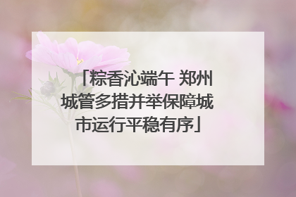 粽香沁端午 郑州城管多措并举保障城市运行平稳有序