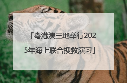 粤港澳三地举行2025年海上联合搜救演习