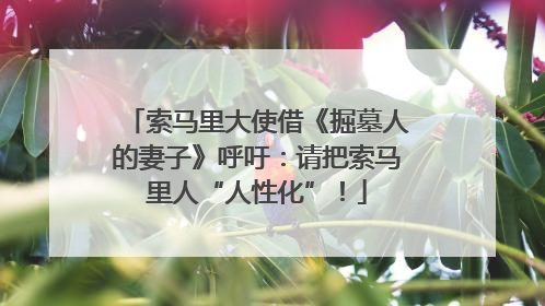索马里大使借《掘墓人的妻子》呼吁：请把索马里人“人性化”！