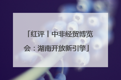 红评丨中非经贸博览会：湖南开放新引擎