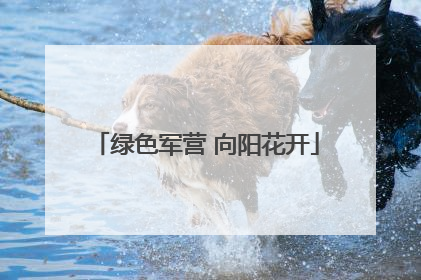 绿色军营 向阳花开