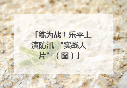 练为战！乐平上演防汛 “实战大片”（图）