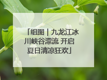 组图｜九龙江冰川峡谷漂流 开启夏日清凉狂欢