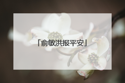 俞敏洪报平安