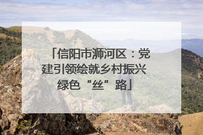信阳市浉河区：党建引领绘就乡村振兴绿色“丝”路