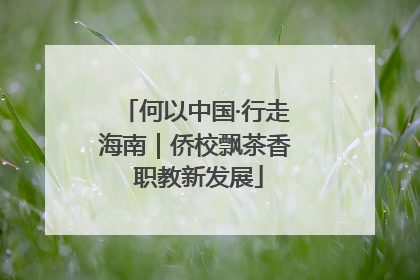 何以中国·行走海南｜侨校飘茶香 职教新发展