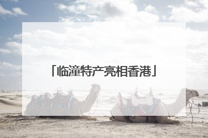 临潼特产亮相香港