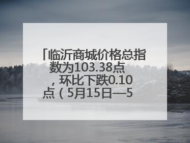临沂商城价格总指数为103.38点，环比下跌0.10点（5月15日—5月21日）