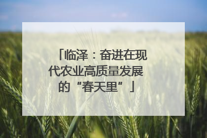 临泽：奋进在现代农业高质量发展的“春天里”