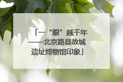 一“眼”越千年——北京路县故城遗址博物馆印象