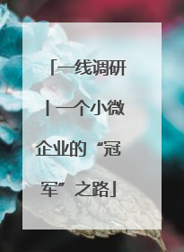 一线调研丨一个小微企业的“冠军”之路