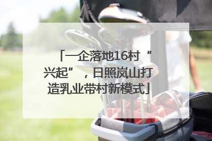 一企落地16村“兴起”，日照岚山打造乳业带村新模式