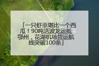 一只虾重堪比一个西瓜！90吨活波龙运抵鄂州，花湖机场货运航线突破100条