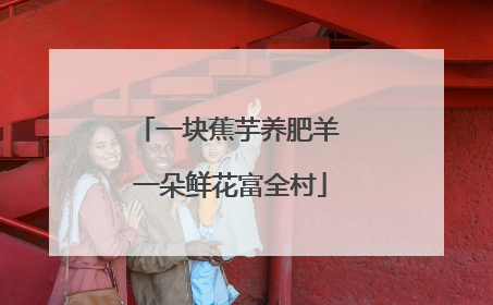 一块蕉芋养肥羊 一朵鲜花富全村