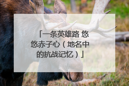 一条英雄路 悠悠赤子心（地名中的抗战记忆）