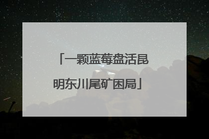 一颗蓝莓盘活昆明东川尾矿困局